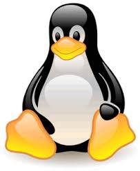 Image de Utiliser le Terminal de Commande sous Linux : Guide de Base
